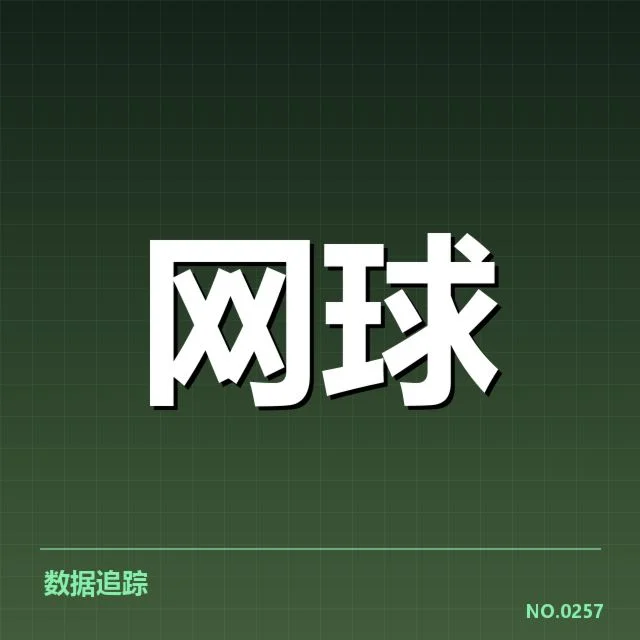 ATP巡回赛：技术特点有哪些关键体现